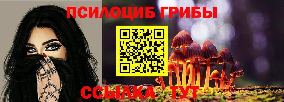 Тамбов  Галлюциногенные грибы GOLDEN TEACHER  Вход с VPN 